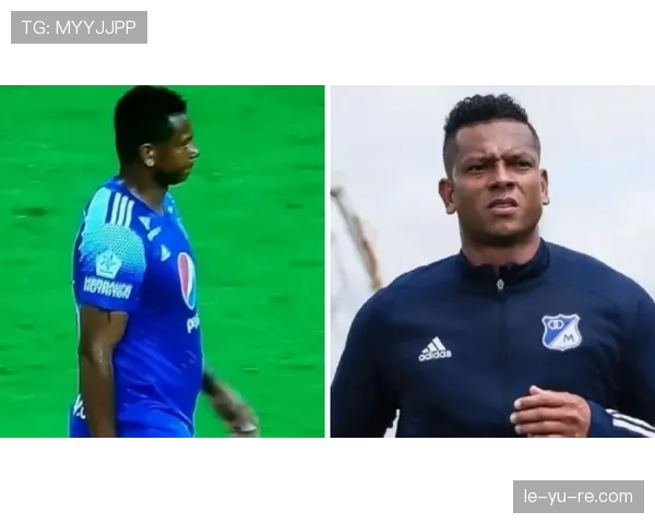 阿尔瓦雷斯多面手角色是否影响其核心能力的持续提升? 阿尔瓦雷斯多面手角色是否影响其核心能力的持续提升?